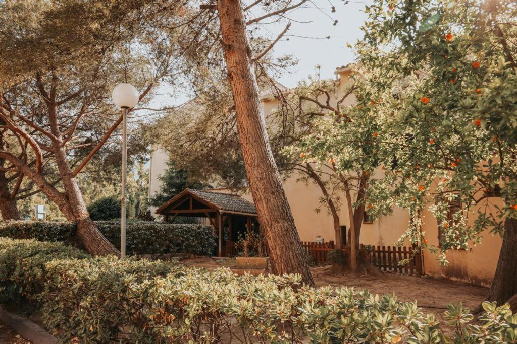 Calvi. T2 2/4 Personnes A 100 Metres De La Plage Apartment Calvi  Ngoại thất bức ảnh
